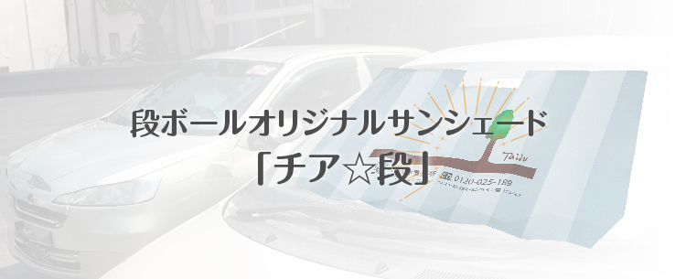 段ボールオリジナルサンシェード 「チア☆段」